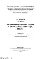 book Заканчивание дополнительных стволов нефтедобывающих скважин