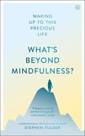 book What’s Beyond Mindfulness?: Waking Up to This Precious Life