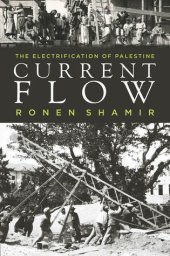 book Current Flow: The Electrification of Palestine