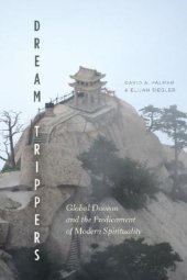 book Dream Trippers: Global Daoism and the Predicament of Modern Spirituality