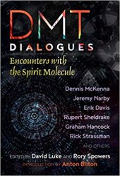 book DMT Dialogues: Encounters with the Spirit Molecule