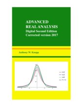 book Advanced Real Analysis