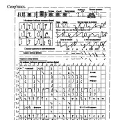 book Скоропись