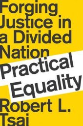 book Practical Equality: Forging Justice in a Divided Nation