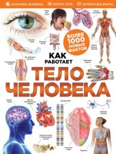 book Как работает тело человека