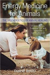 book Energy Medicine for Animals: The Bioenergetics of Animal Healing