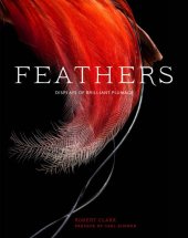 book Feathers: Displays of Brilliant Plumage