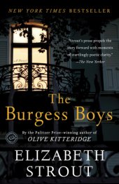 book The Burgess Boys