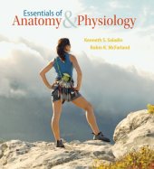 book Essentials of Anatomy & Physiology, 2nd Edition