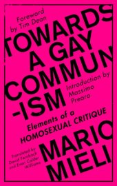 book Towards a Gay Communism: Elements of a Homosexual Critique