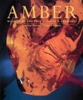 book Amber: window to the past