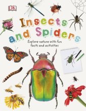 book Insects and Spiders