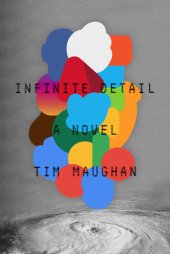 book Infinite Detail: A Novel