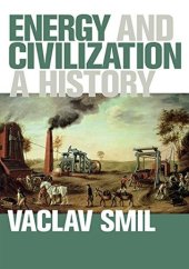 book Energy and Civilization: A History