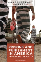 book Prisons and Punishment in America: Examining the Facts