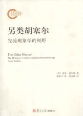 book 另类胡塞尔