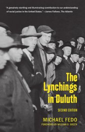 book The Lynchings in Duluth