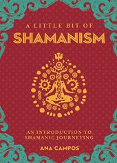 book A Little Bit of Shamanism: An Introduction to Shamanic Journeying