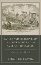 book Danger and vulnerability in nineteenth-century American literature: crash and burn