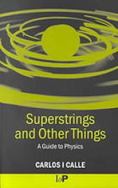 book Superstrings and other things: a guide to physics