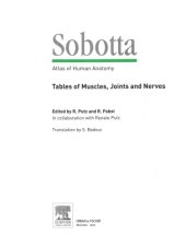 book Sobotta - Tables of Muscles, Joints and Nerves