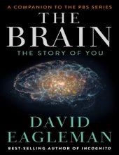 book The Brain: The Story of You