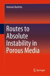 book Routes to Absolute Instability in Porous Media