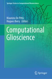 book Computational Glioscience