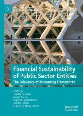 book Financial Sustainability of Public Sector Entities: The Relevance of Accounting Frameworks