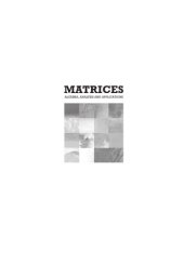 book Matrices. Algebra, analysis and applications