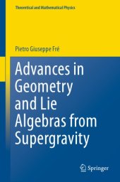 book Advances in geometry and Lie algebras from supergravity