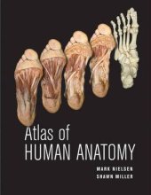 book Atlas of human anatomy