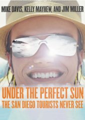 book Under the Perfect Sun: The San Diego Tourists Never See