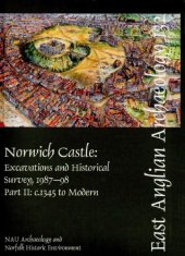 book Norwich Castle: Excavations and Historical Survey, 1987-98. Part II: c. 1345 - Modern