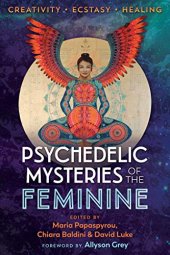 book Psychedelic Mysteries of the Feminine: Creativity, Ecstasy, and Healing