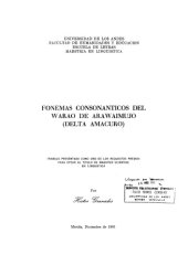 book Fonemas consonánticos del Warao de Arawaimujo (Delta Amacuro)