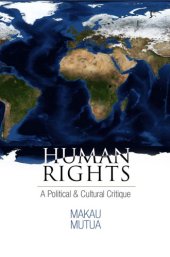 book Human Rights: A Political and Cultural Critique