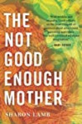 book The Not Good Enough Mother