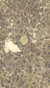 book Солоноватоводные кардииды.