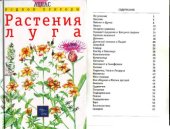 book Растения луга