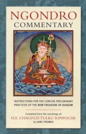 book Ngondro Commentary: Instructions for the Concise Preliminary Practices of the New Treasure of Dudjom