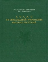 book Атлас по описательной морфологии высших растений. Лист.