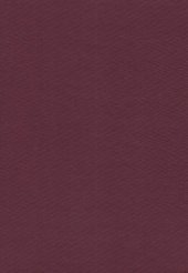 book Encyclopedia of World Cultures: North America