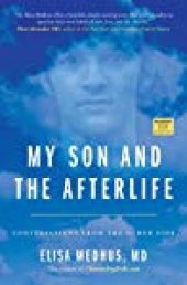 book My Son and the Afterlife: Conversations from the Other Side