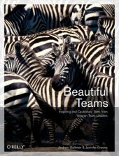 book Beautiful Teams