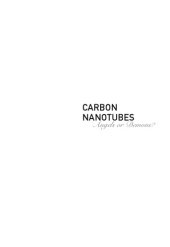 book Carbon nanotubes: angels or demons?