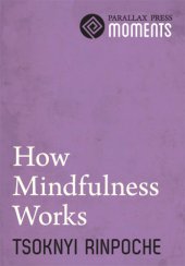 book How Mindfulness Works