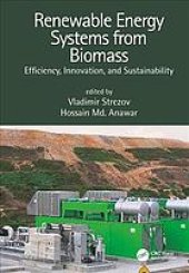 book Renewable energy systems from biomass: efficiency, innovation and sustainability