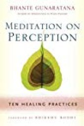 book Meditation on Perception: Ten Healing Practices to Cultivate Mindfulness