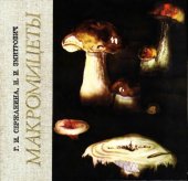 book Макромицеты